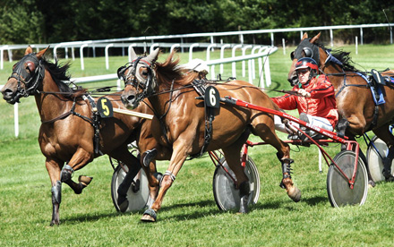 reportage entreprise, depliant publicitaire